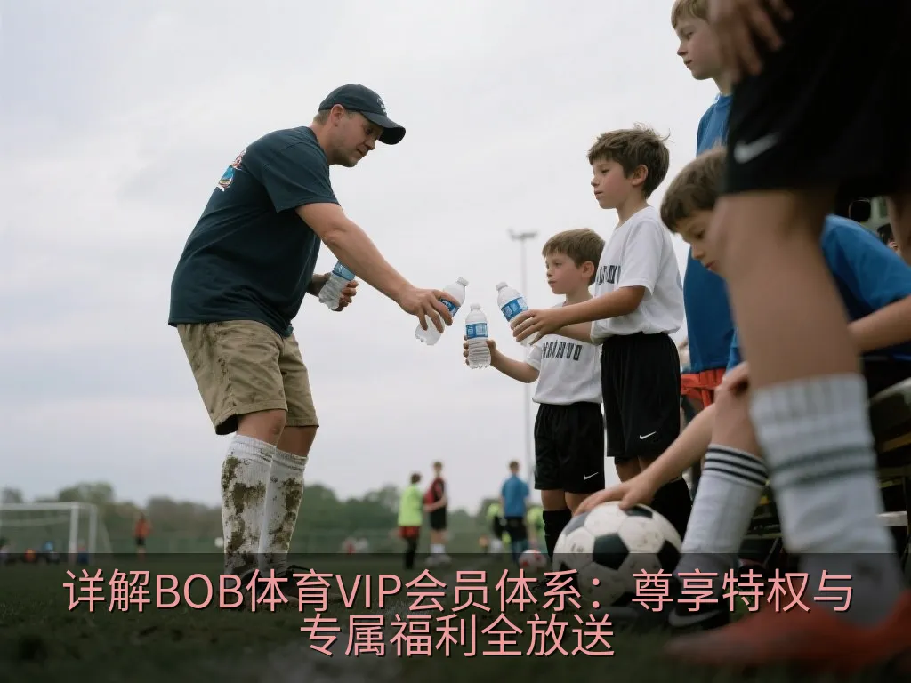 详解BOB体育VIP会员体系：尊享特权与专属福利全放送